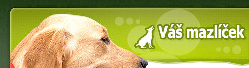 Primary Raster logo